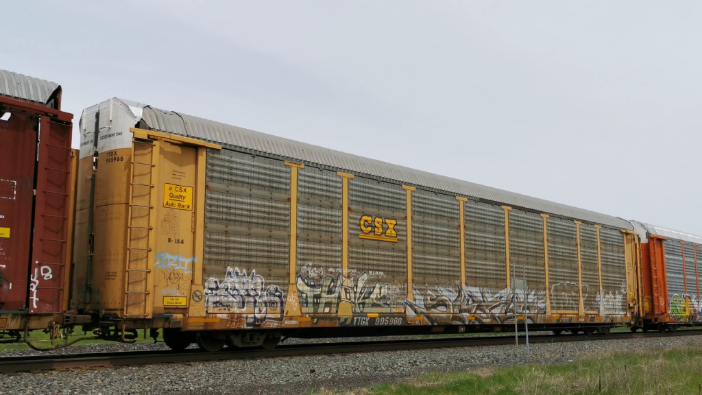 CSX B1114 (Body) TTGX 995966 (Flat)